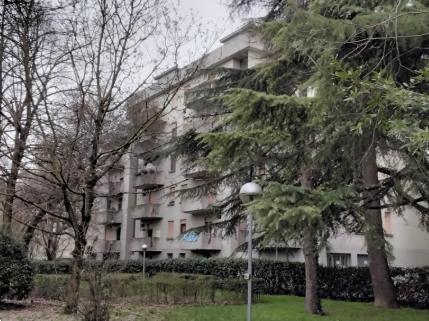 immagine annuncio 7 di 13