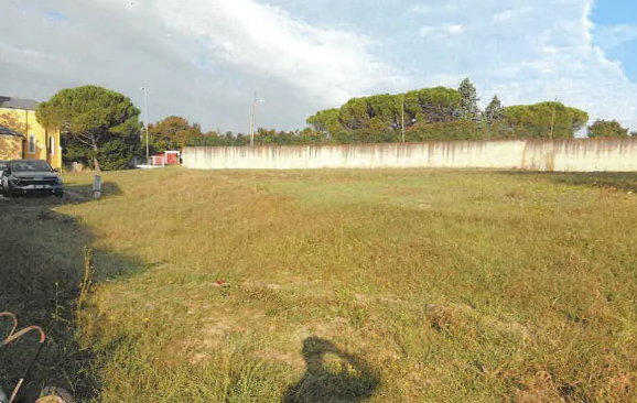immagine annuncio 4 di 13