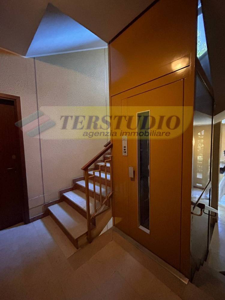 immagine annuncio 9 di 13