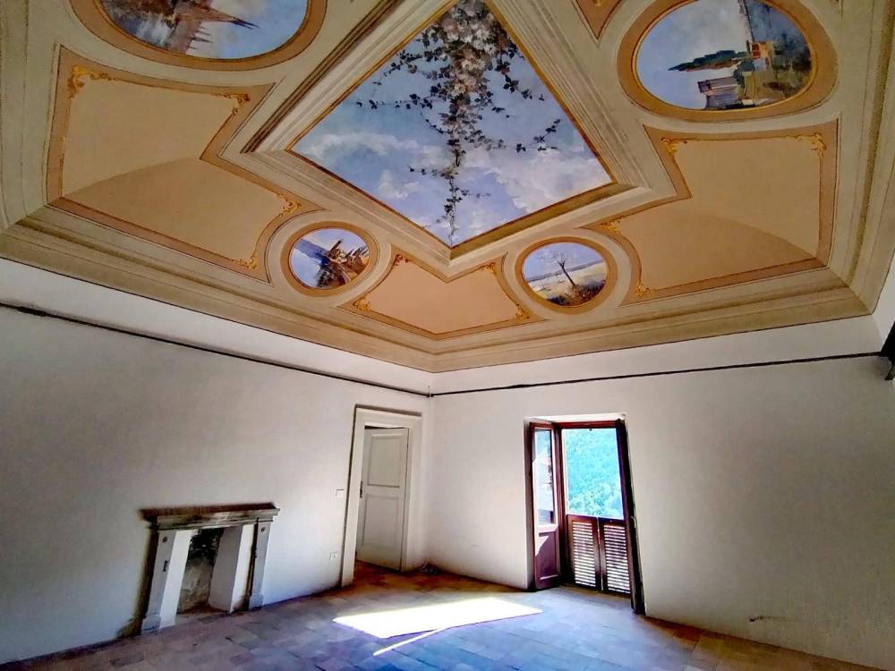 immagine annuncio 3 di 13