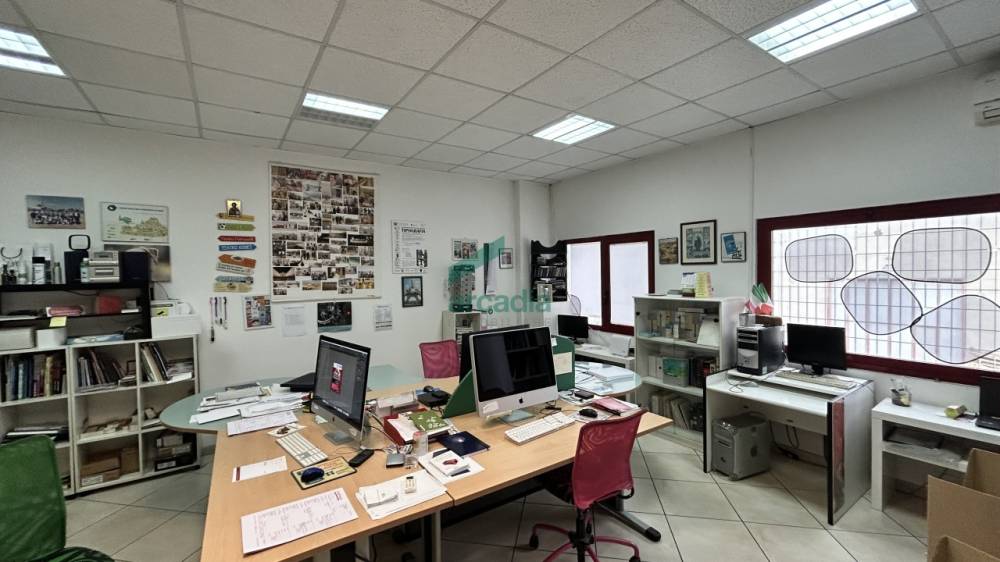 immagine annuncio 4 di 13