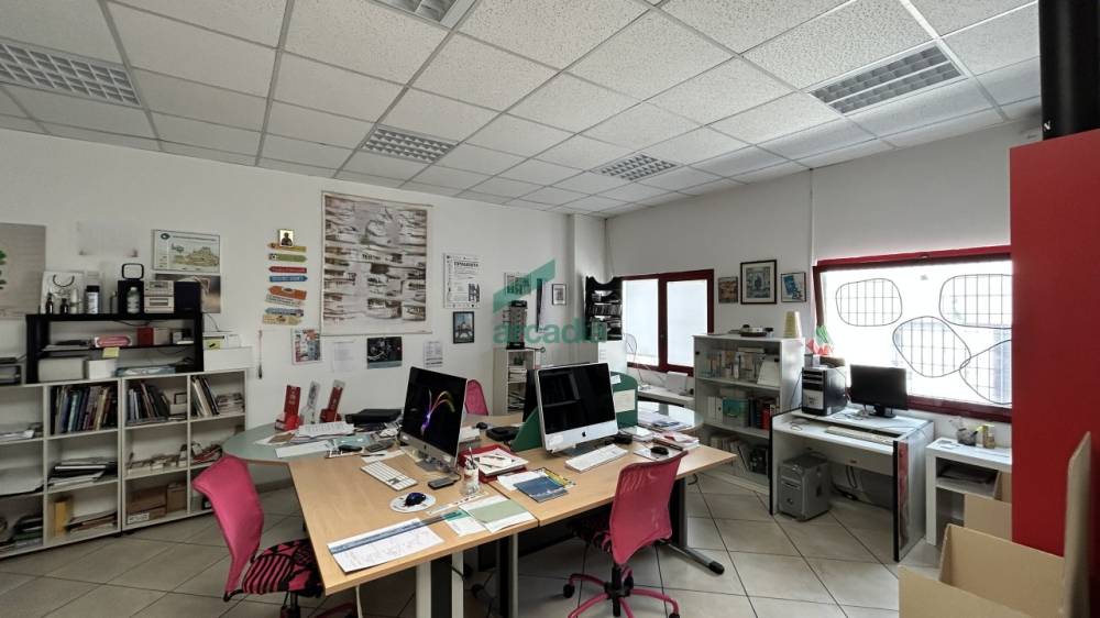 immagine annuncio 1 di 13