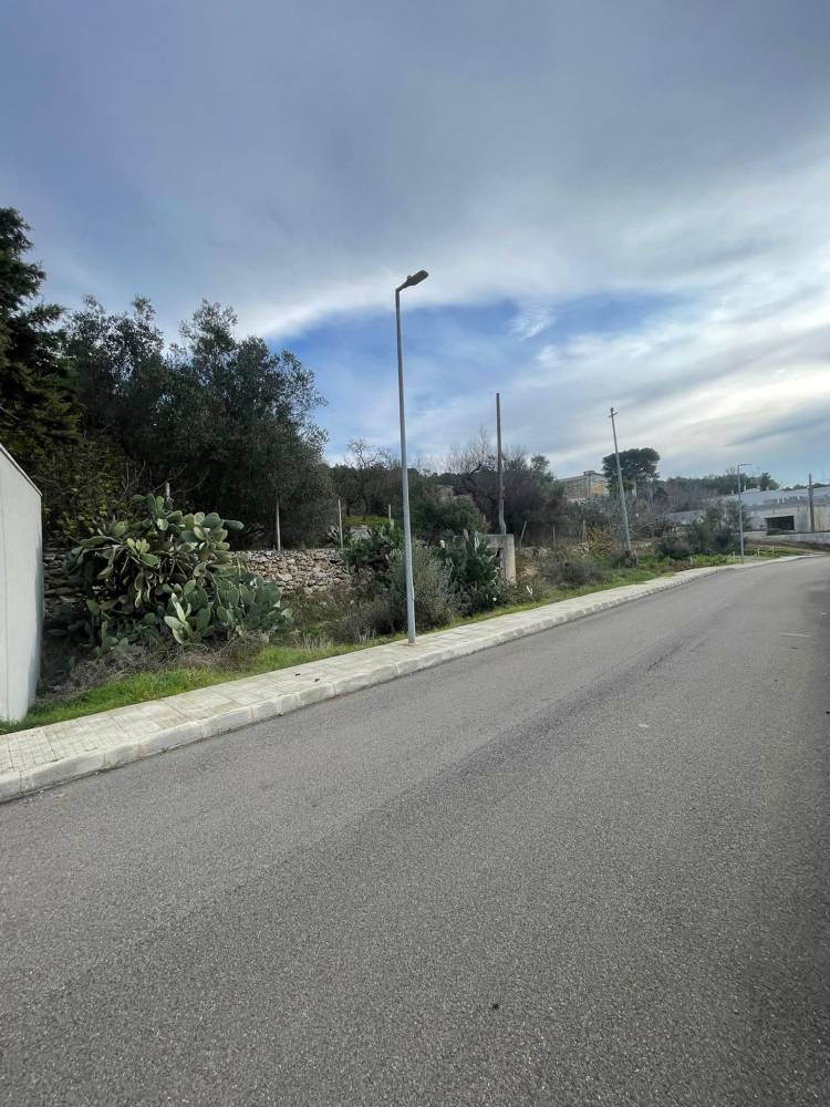 immagine annuncio 2 di 13