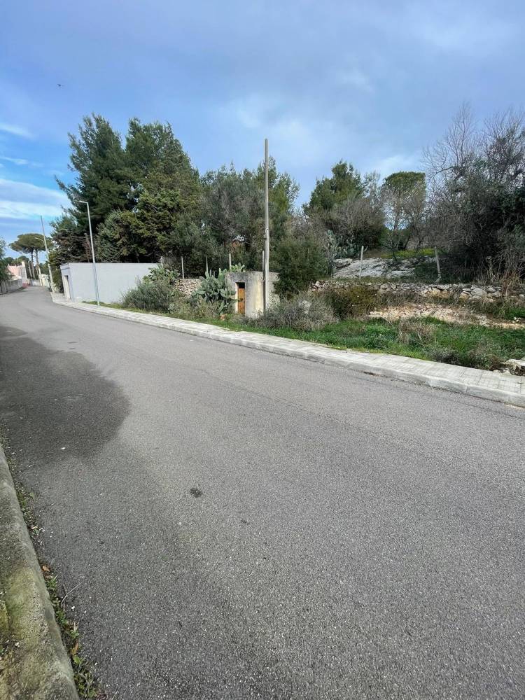 immagine annuncio 5 di 13