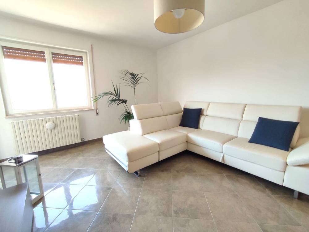 immagine annuncio 6 di 13