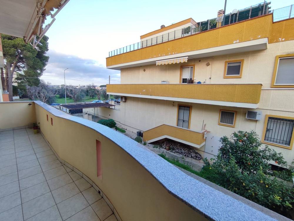 immagine annuncio 5 di 14