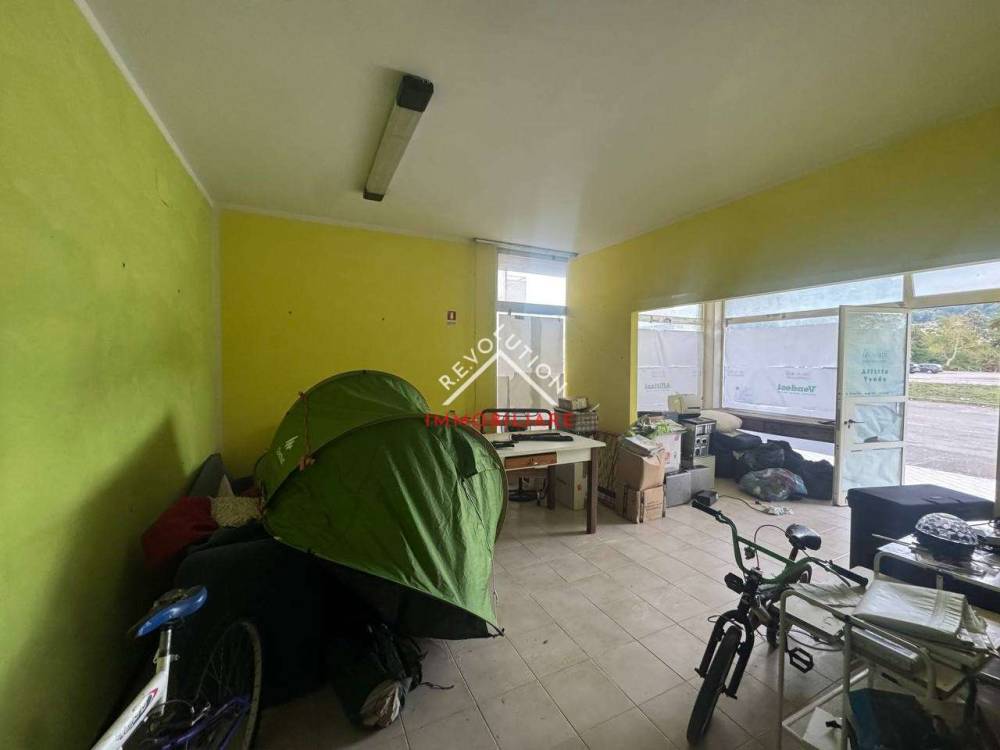 immagine annuncio 9 di 14