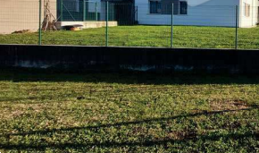 immagine annuncio 1 di 13