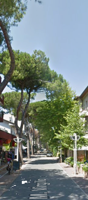 immagine annuncio 3 di 13