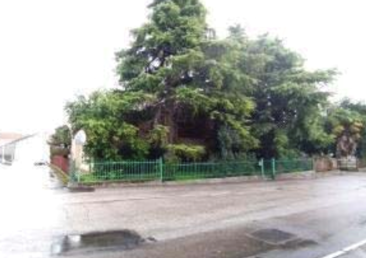 immagine annuncio 8 di 13
