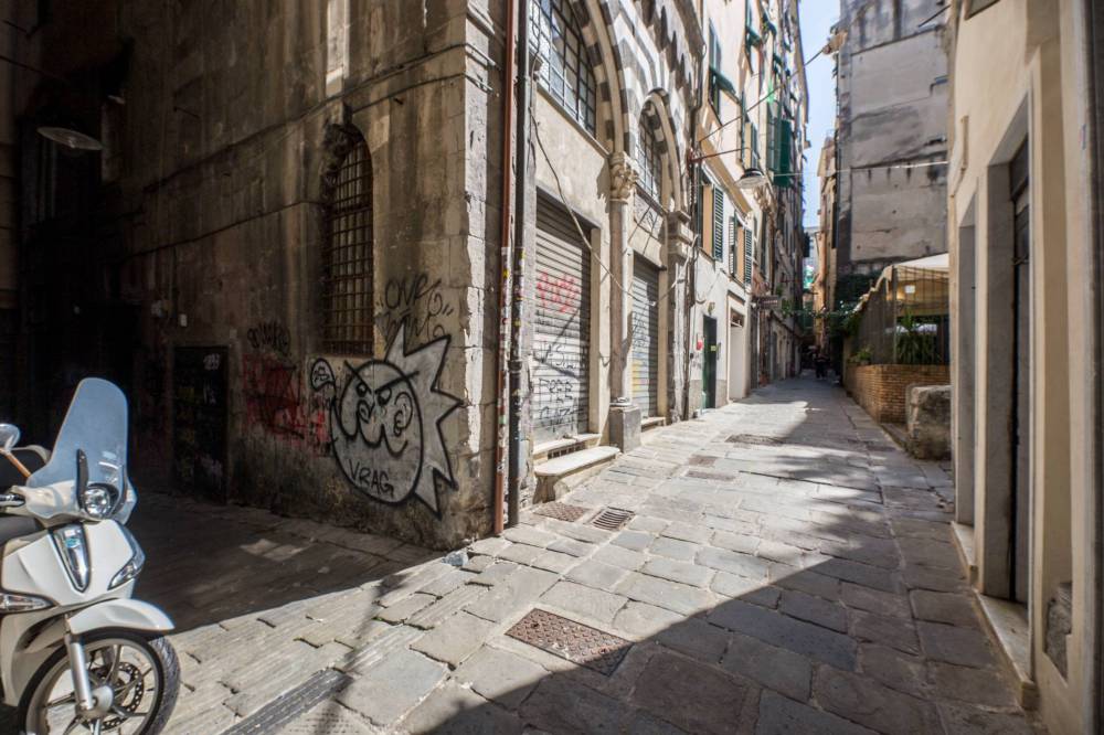immagine annuncio 1 di 13