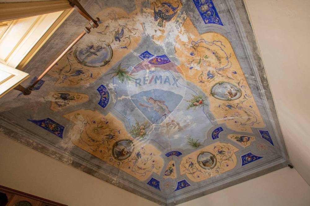 immagine annuncio 13 di 14