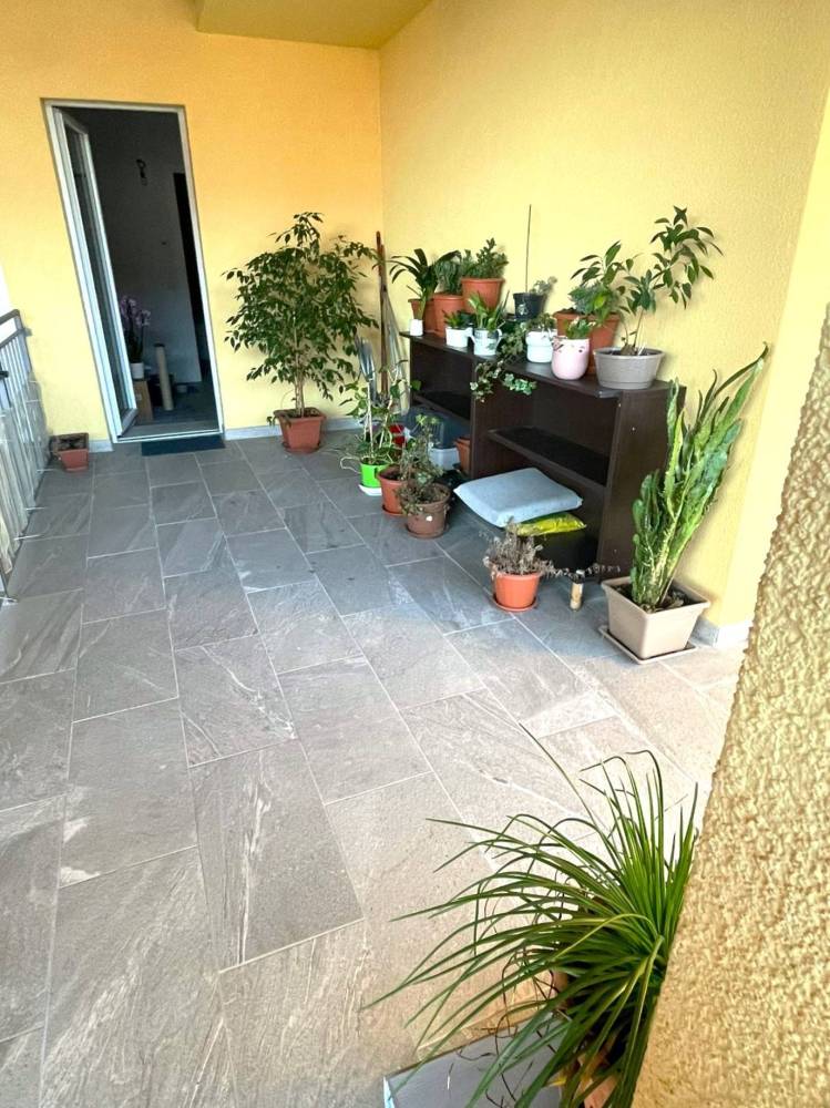 immagine annuncio 12 di 13