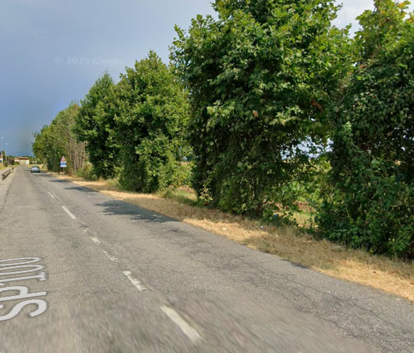 immagine annuncio 7 di 13