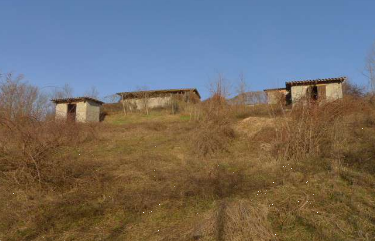 immagine annuncio 2 di 13