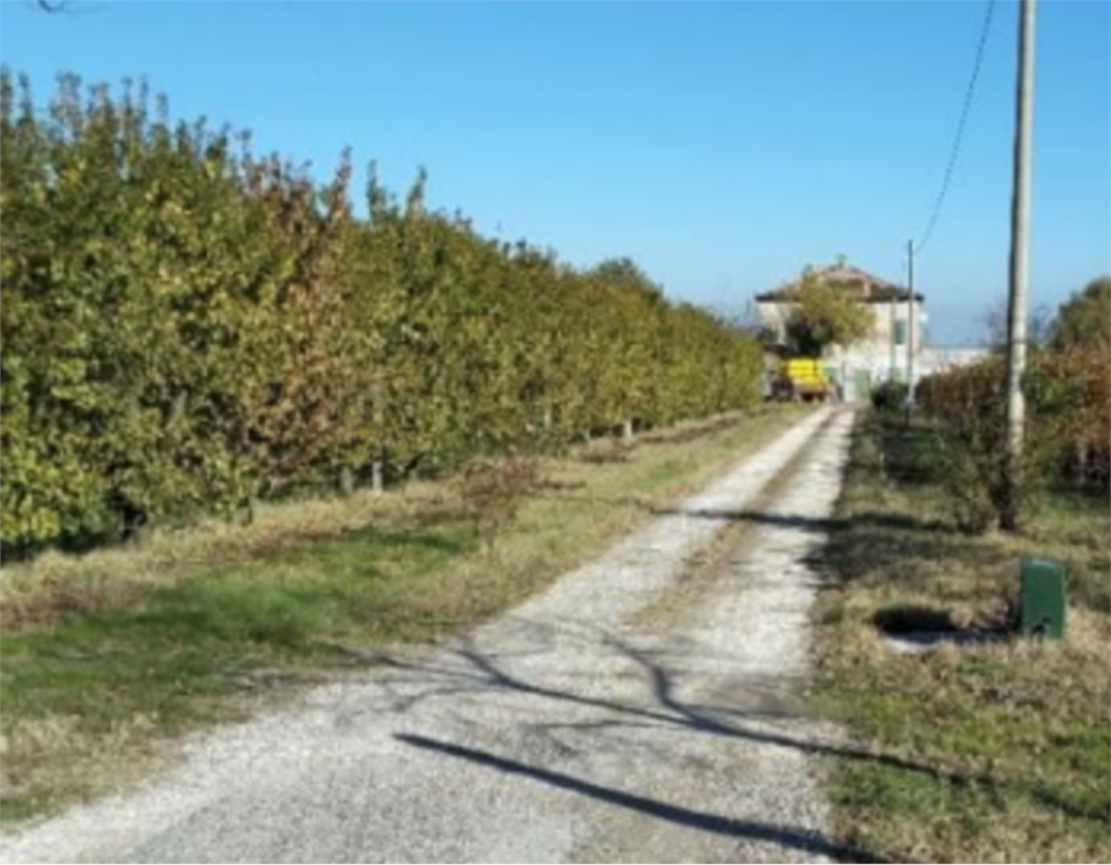 immagine annuncio 3 di 13