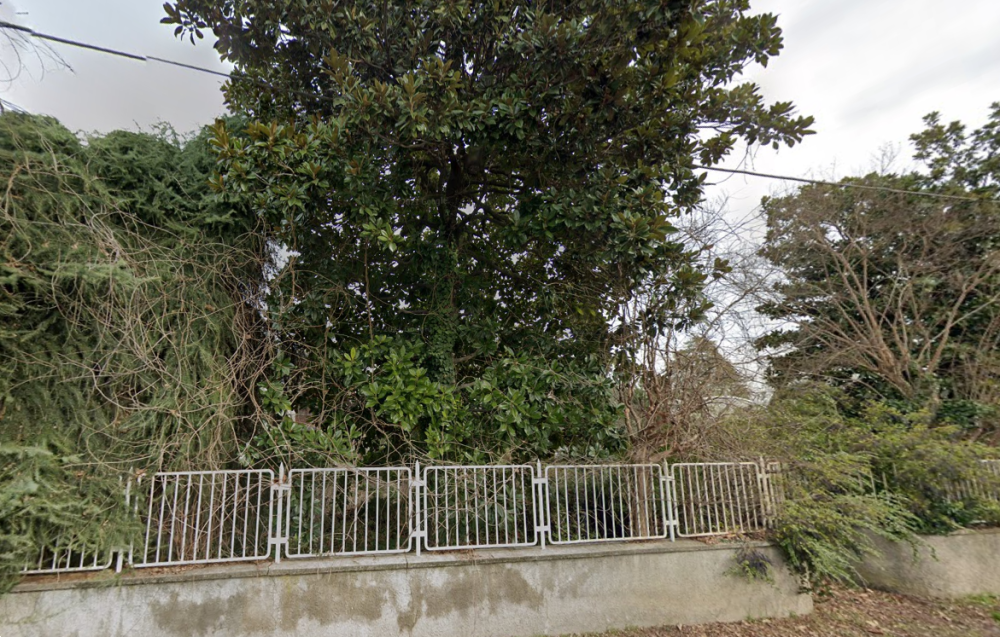 immagine annuncio 9 di 13