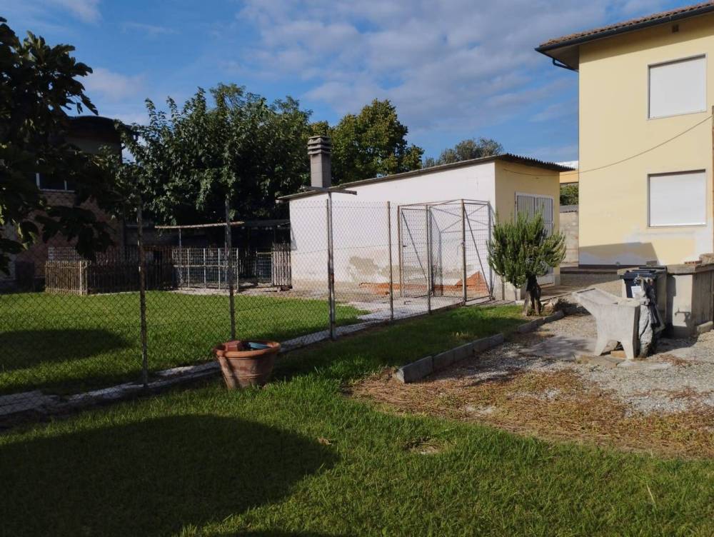 immagine annuncio 8 di 13