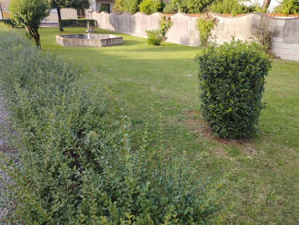 immagine annuncio 5 di 13