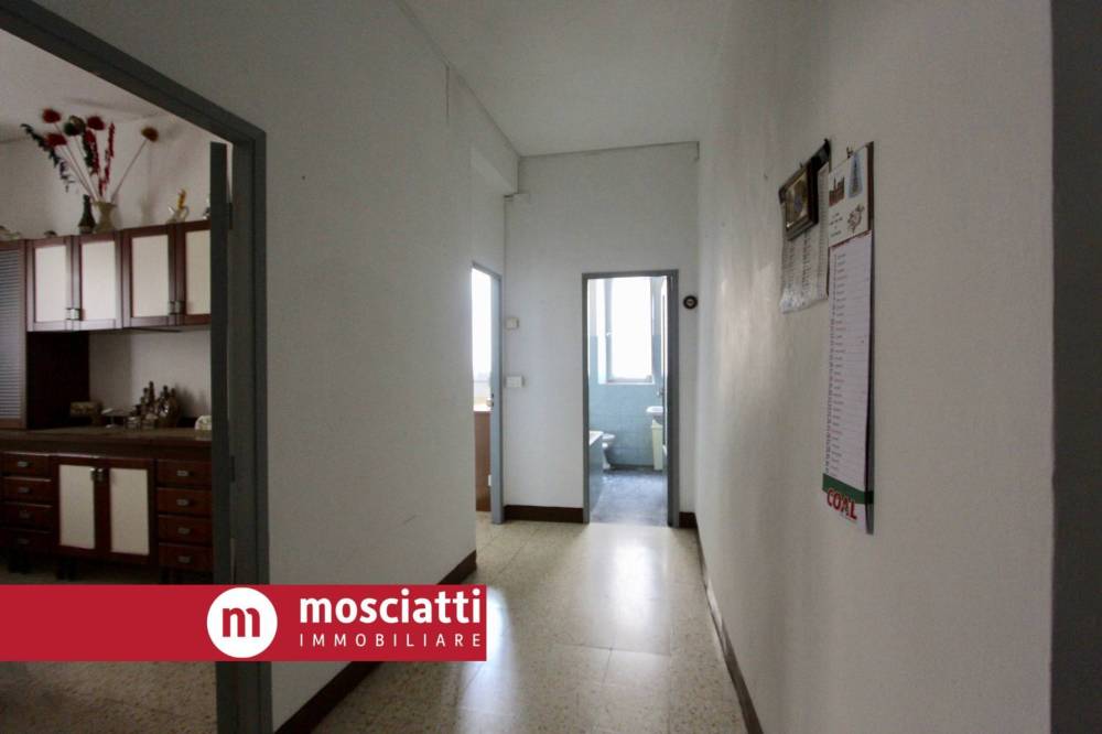immagine annuncio 2 di 6