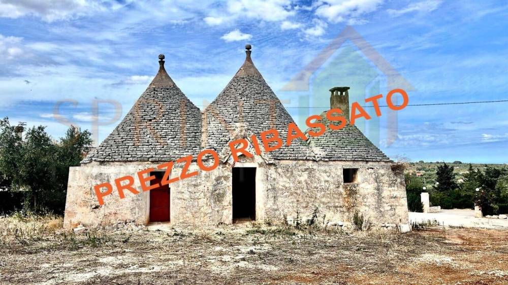 immagine annuncio 13 di 14