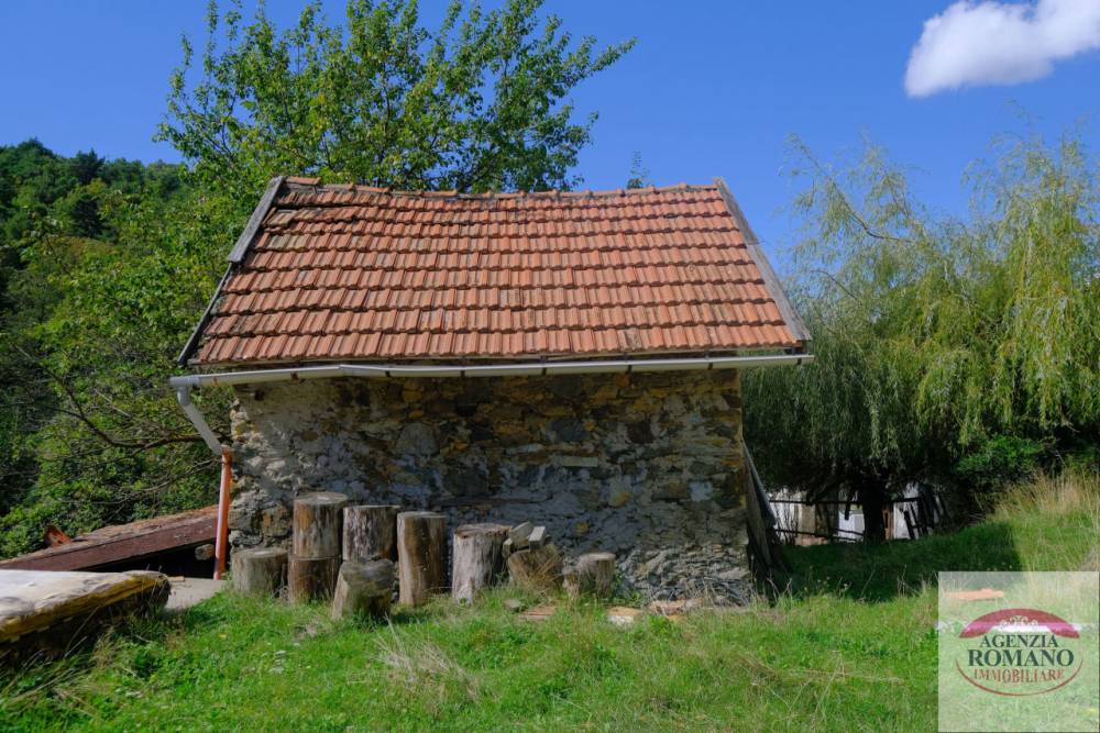 immagine annuncio 10 di 13