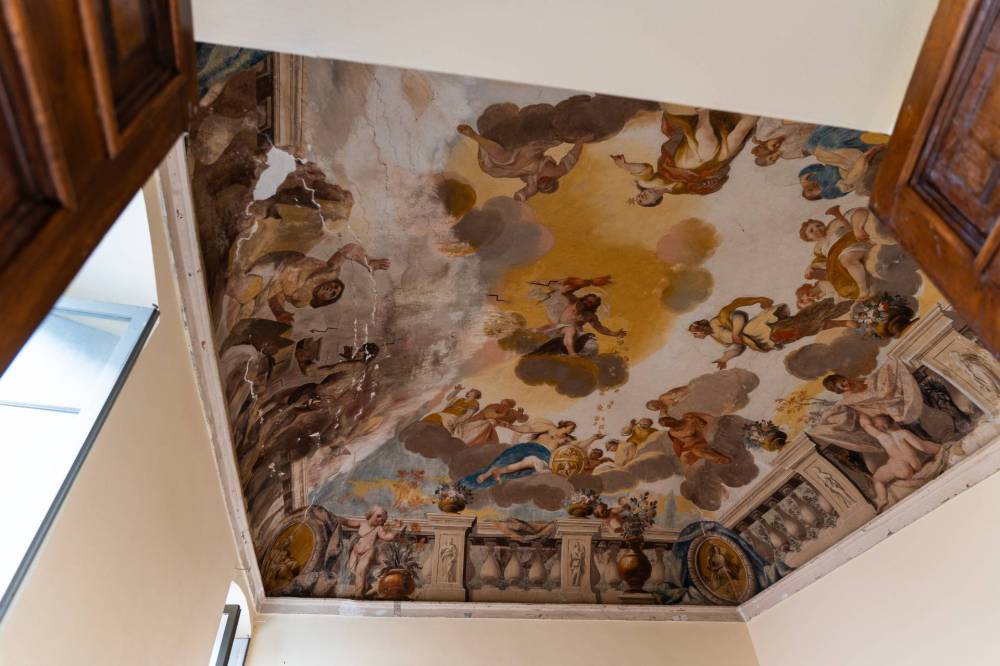 immagine annuncio 1 di 13