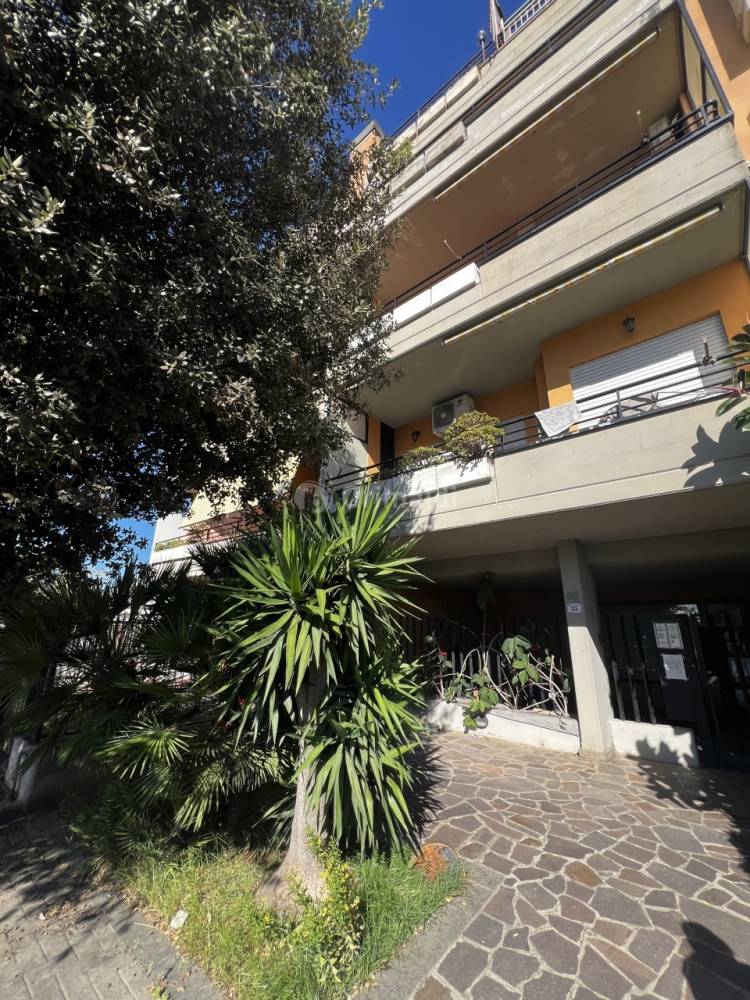 immagine annuncio 8 di 12