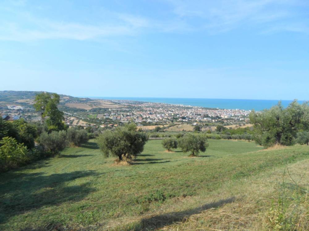 immagine annuncio 9 di 13