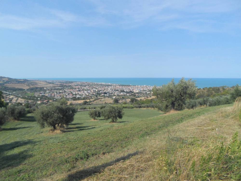 immagine annuncio 10 di 13