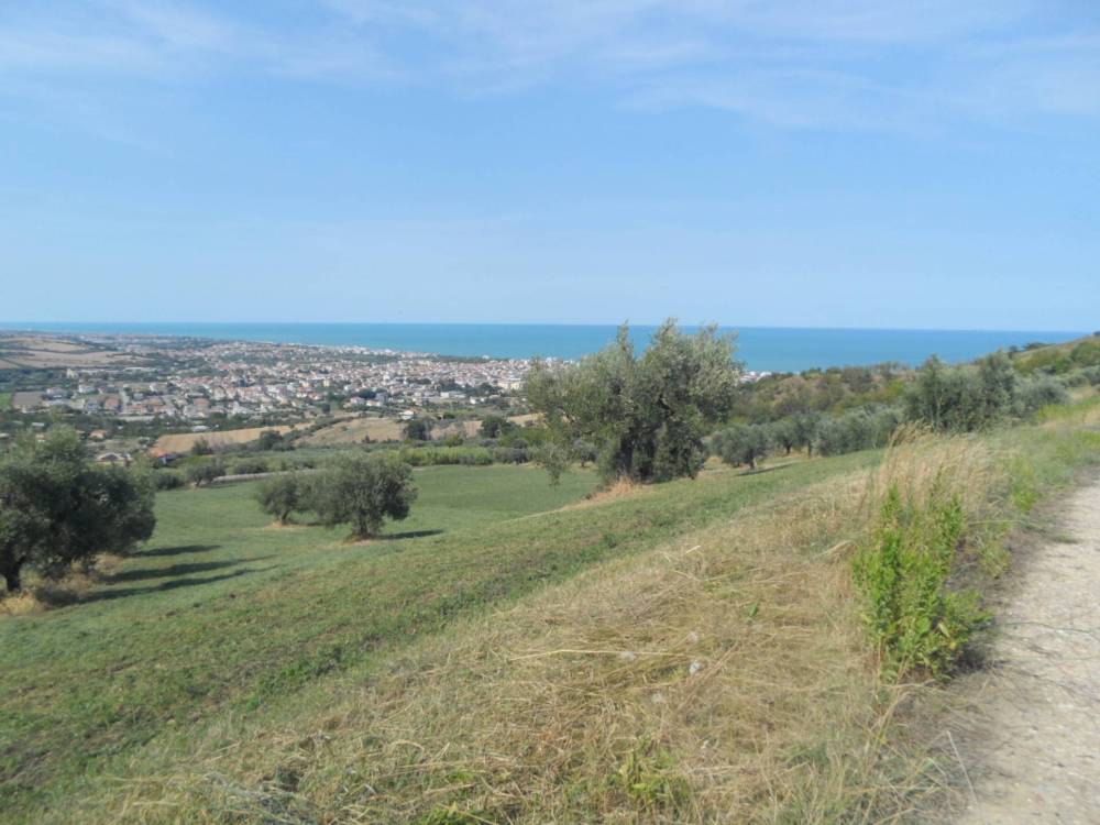 immagine annuncio 6 di 13