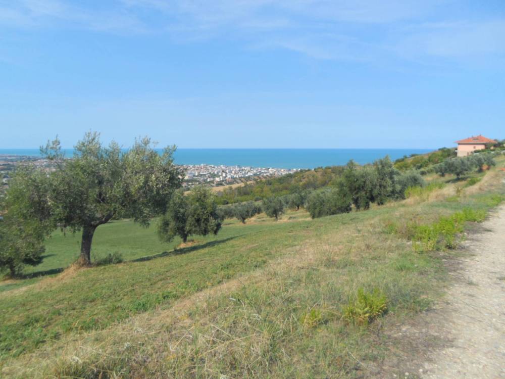 immagine annuncio 7 di 13