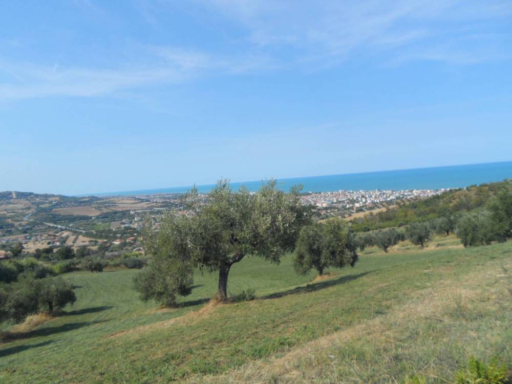 immagine annuncio 8 di 13
