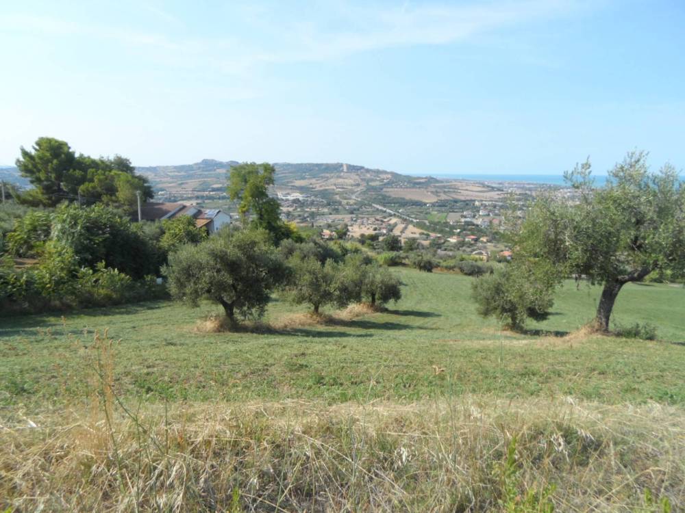 immagine annuncio 11 di 13