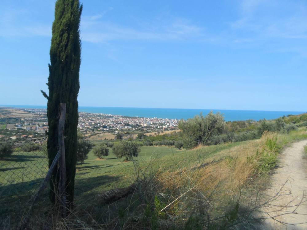 immagine annuncio 4 di 13