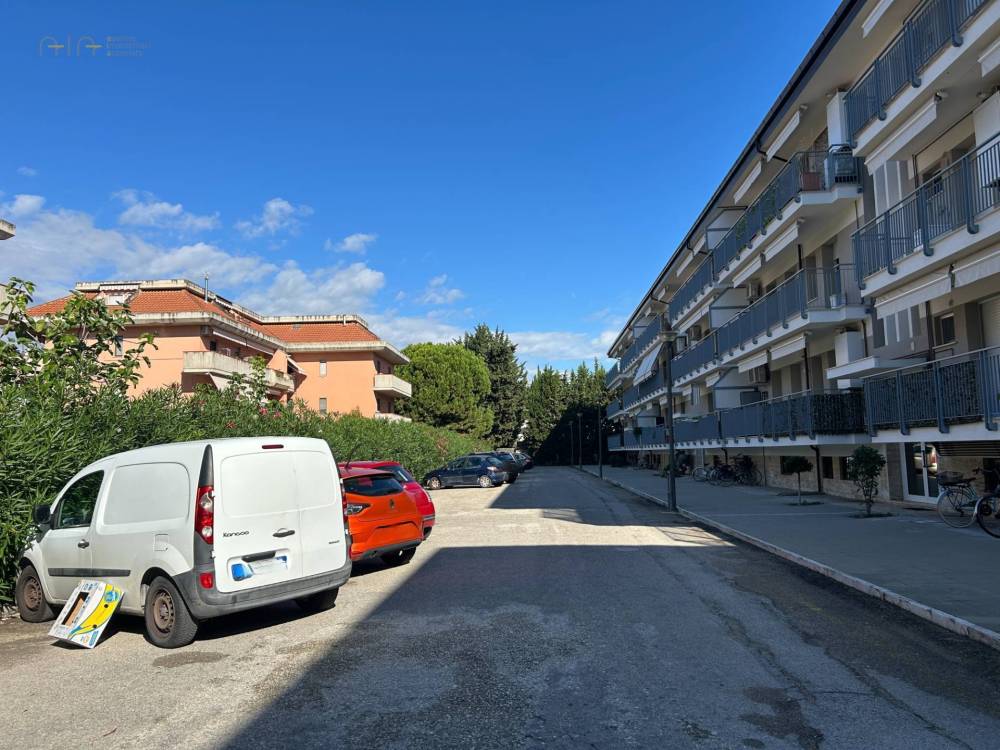 immagine annuncio 5 di 11