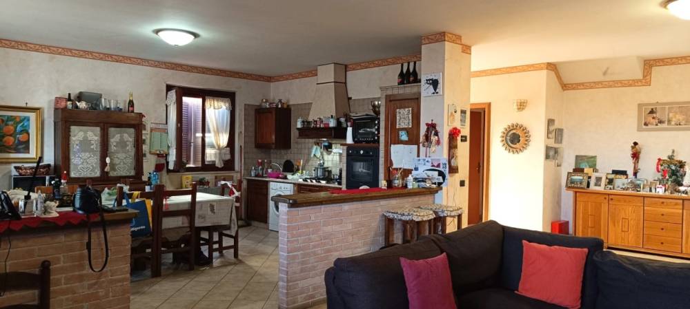 immagine annuncio 12 di 13