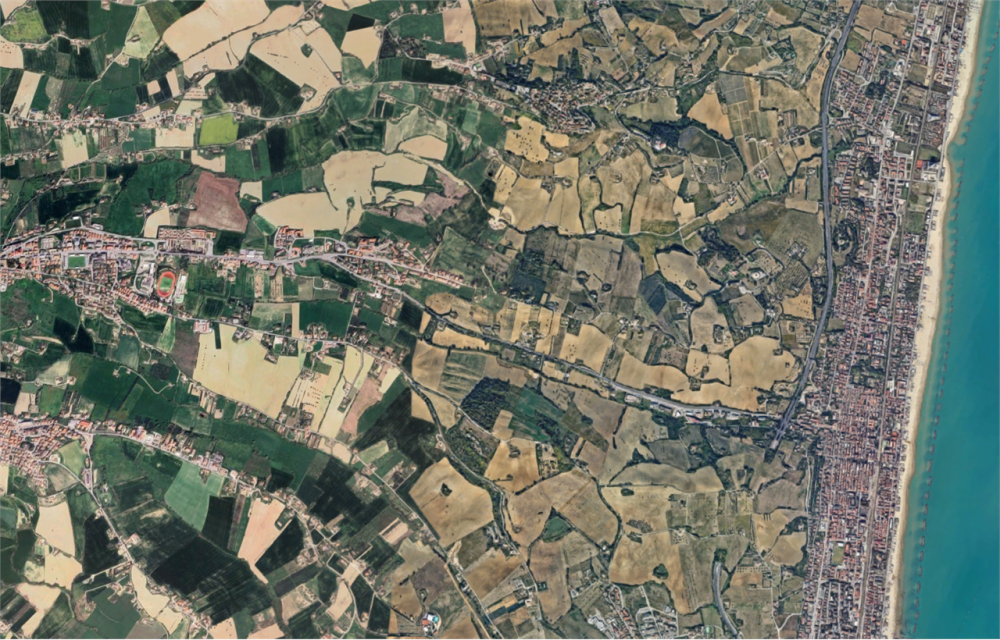 immagine annuncio 1 di 11