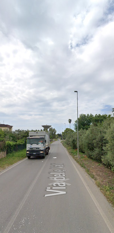 immagine annuncio 3 di 13