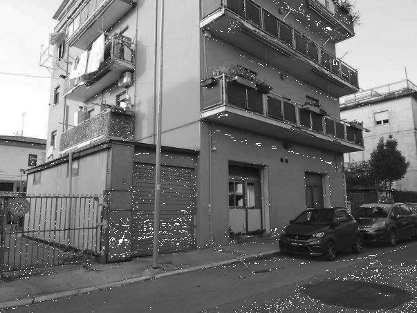 immagine annuncio 4 di 13