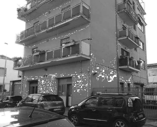 immagine annuncio 5 di 13