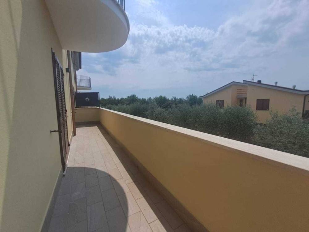 immagine annuncio 5 di 13
