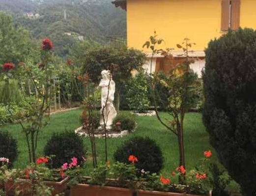 immagine annuncio 6 di 13