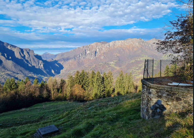 immagine annuncio 7 di 13