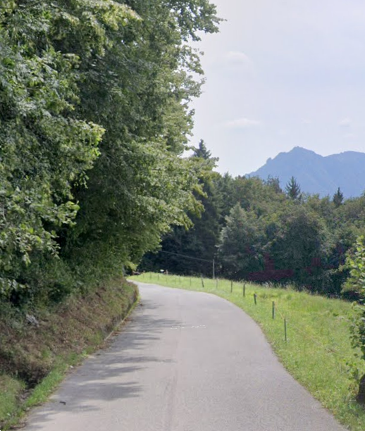 immagine annuncio 12 di 13