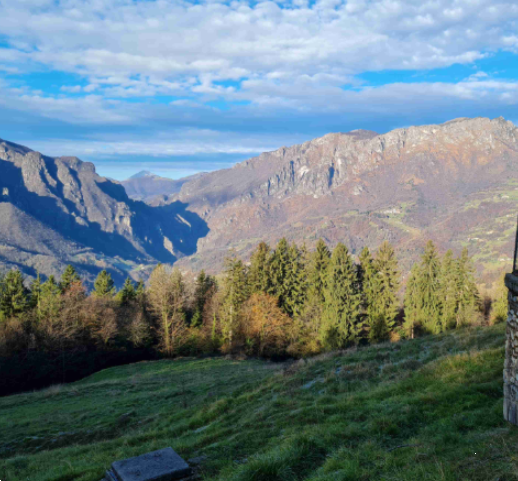immagine annuncio 10 di 13