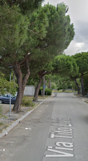 immagine annuncio 3 di 13