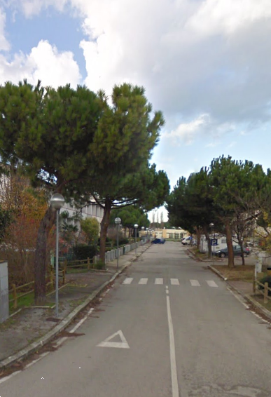 immagine annuncio 6 di 13