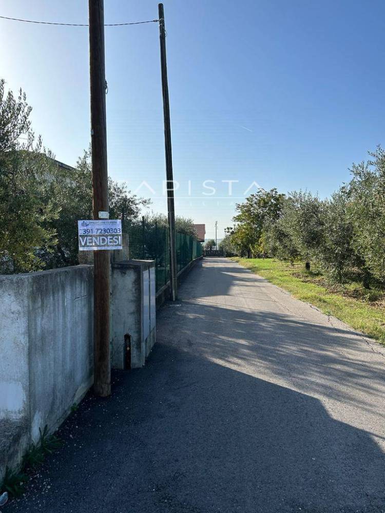 immagine annuncio 3 di 4