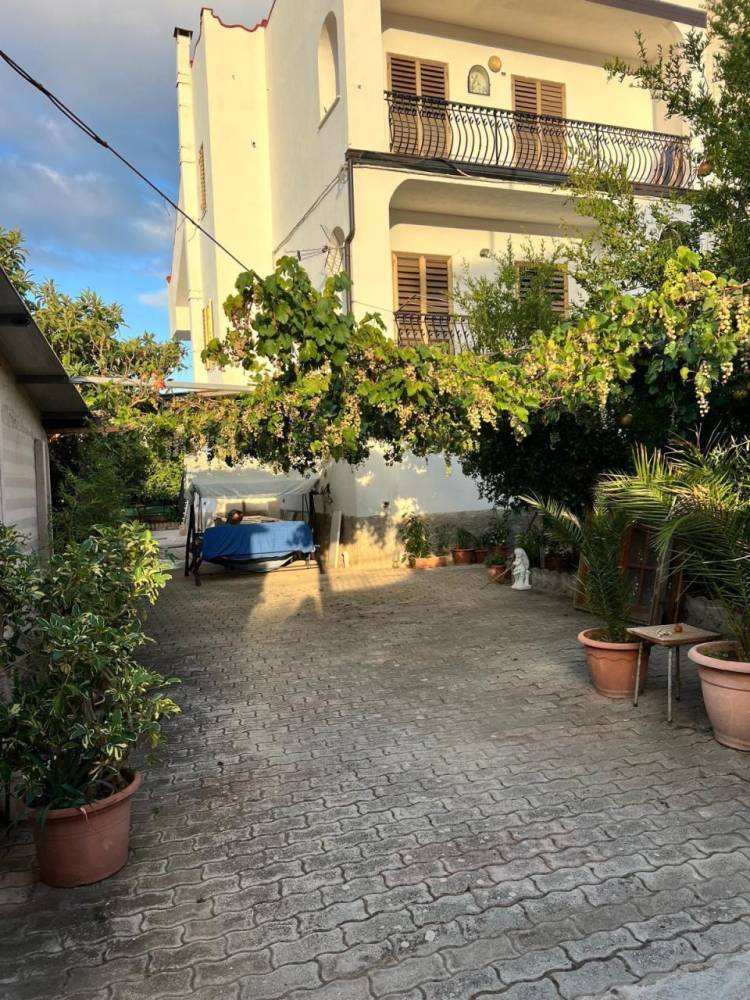 immagine annuncio 1 di 13